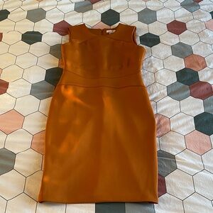 Calvin Klein Burnt Orange Midi Dress